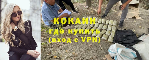 мяу мяу мука Аркадак
