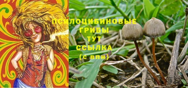 таблы Арсеньев